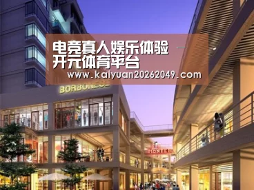 案例展示一